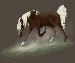 Horse_Animation__by_KennelwoodDesigns